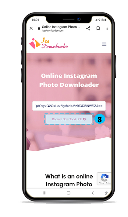 step3-Online Instagram Photo Downloader