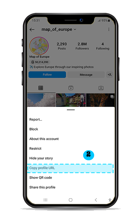 step2-Instagram Profile Picture Downloader