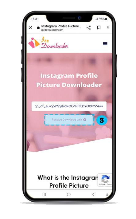 step3-Instagram Profile Picture Downloader