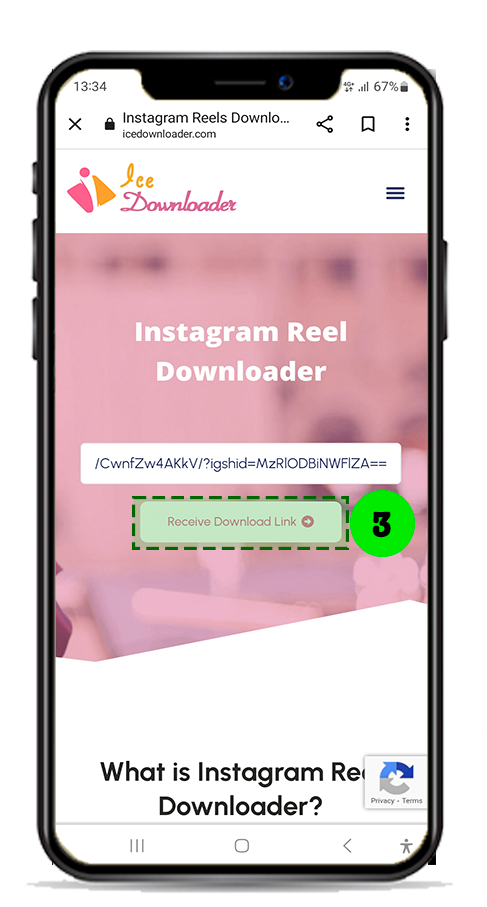 step3-Instagram Reel Downloader
