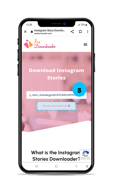 step3-Instagram Stories Downloader