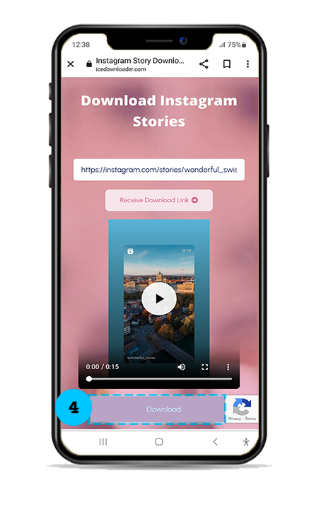 step4-Instagram Stories Downloader