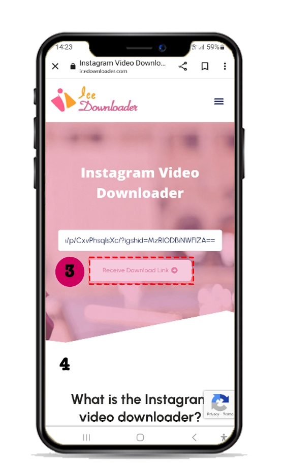 step3-Instagram Video Downloader